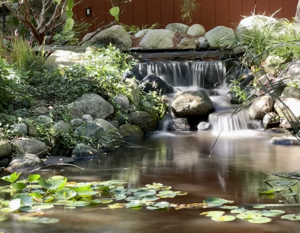 An image of a landscape