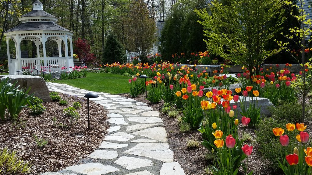 An image of a landscape