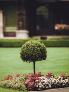 Increase Property Value with Your Yard